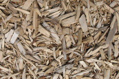 biomass boilers Monboddo
